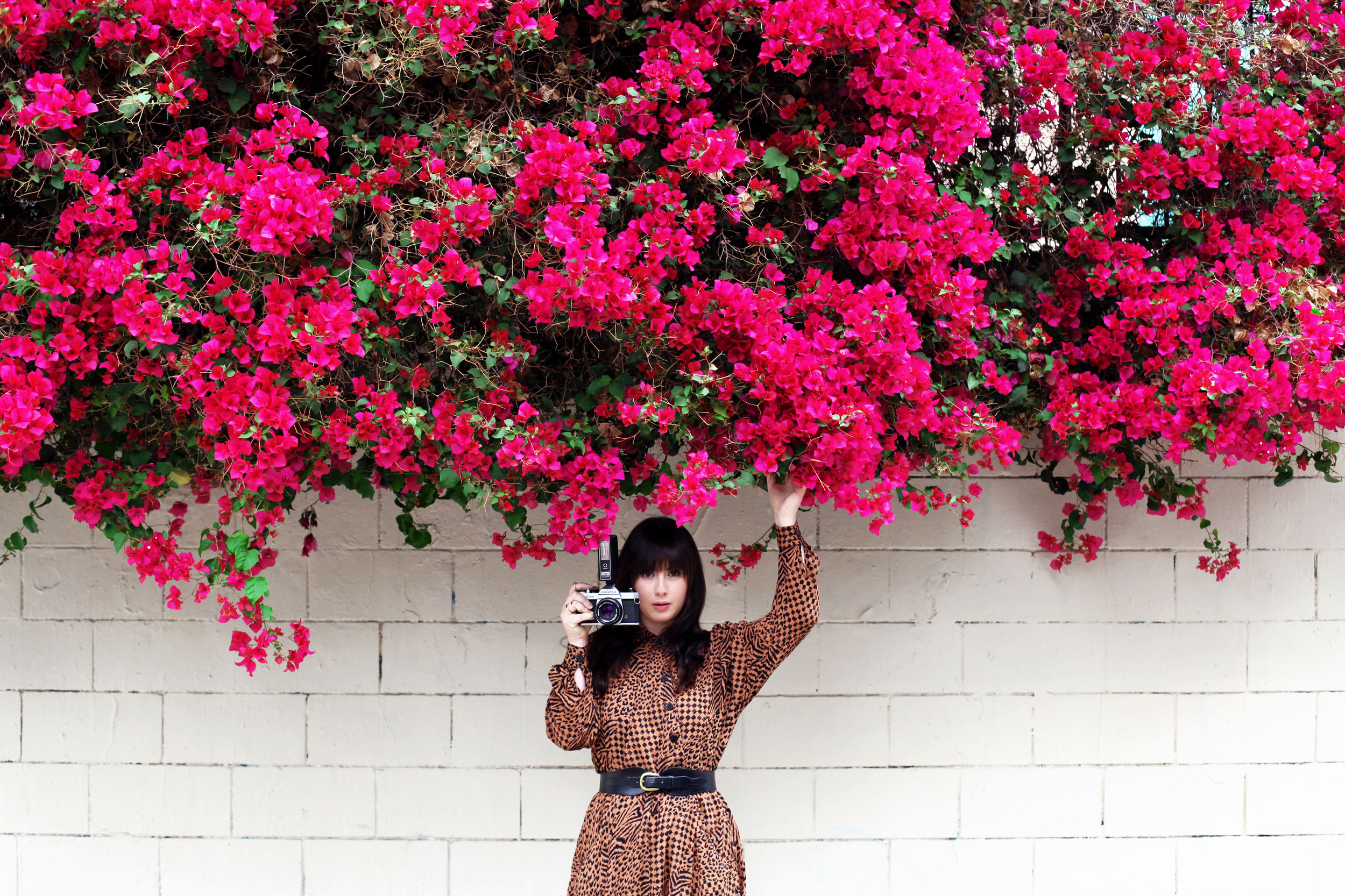 A girl holding a camera under a bougainvillea tree. Kim Genevieve Los Angeles Portrait Photographer