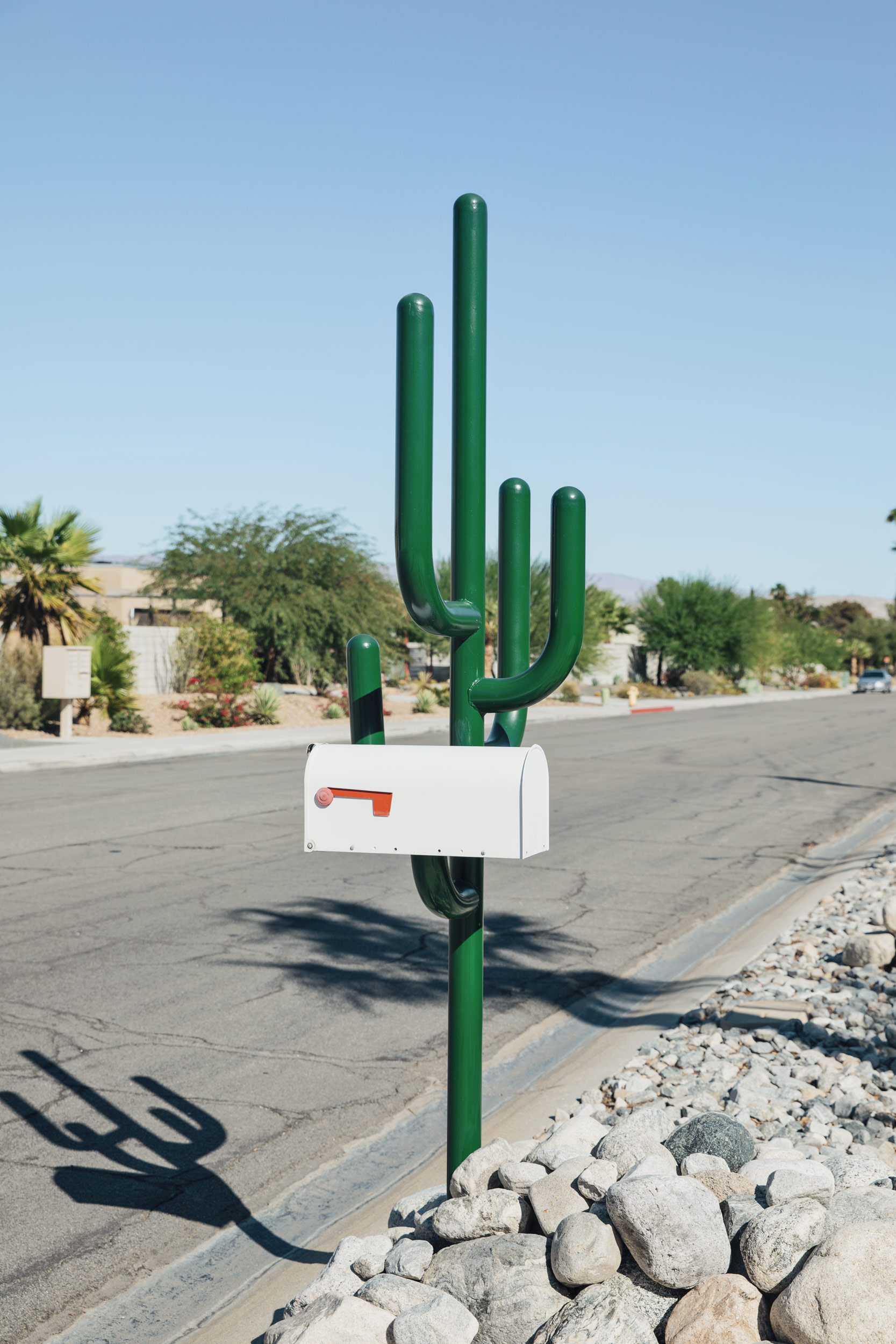 A cactus mailbox - 